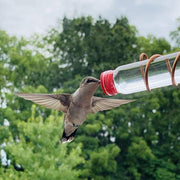 Hummingbird Feeder with Suction Cup - Easy-Clean Garden & Deck Bird Feeder